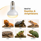Reptile Heat Lamp Bulbs, 75W 2 Pack