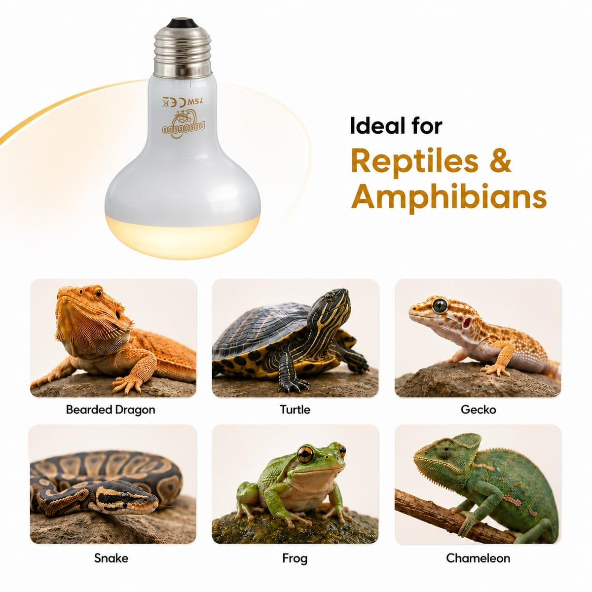Reptile Heat Lamp Bulbs, 75W 2 Pack