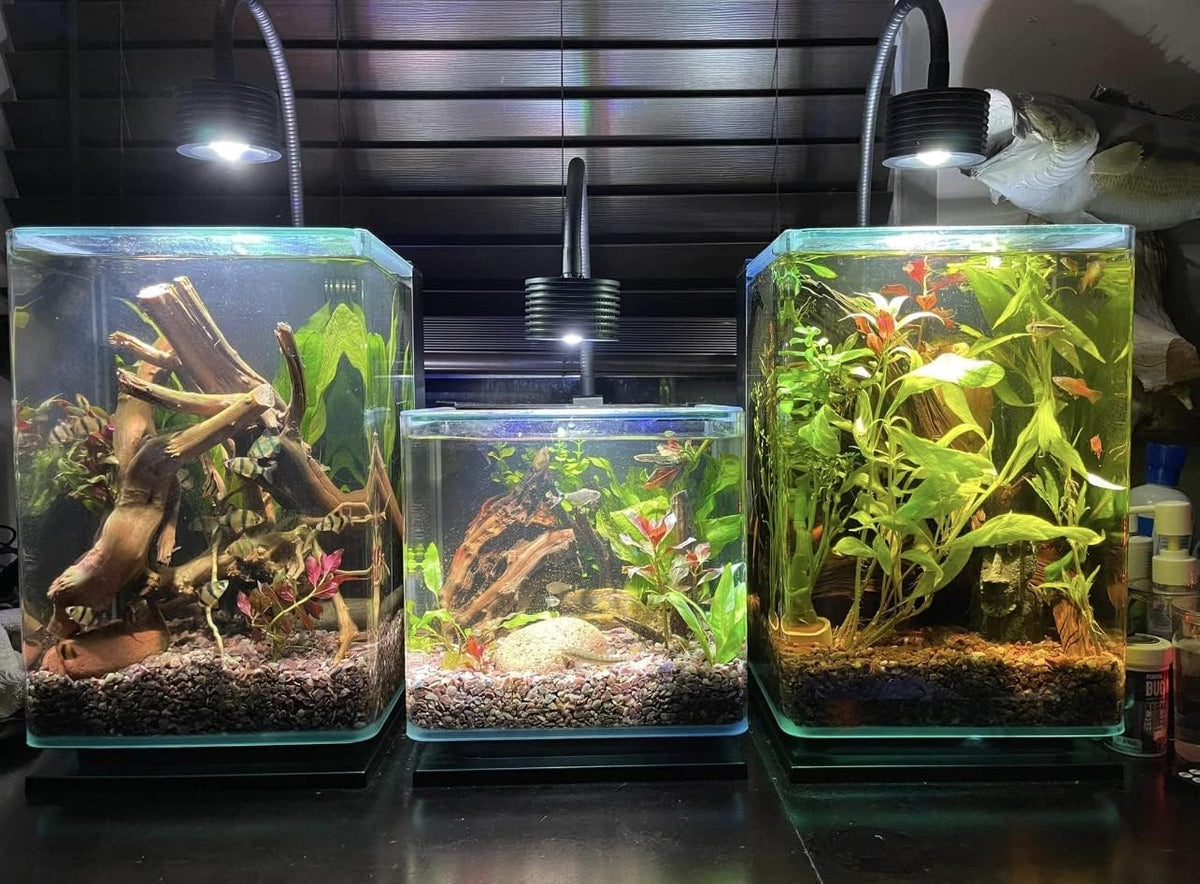 LED Aquarium Light, Planted Tank Light 4 Channels Remote Control 6500K Aquarium LED Lamp for Freshwater Fish Tank