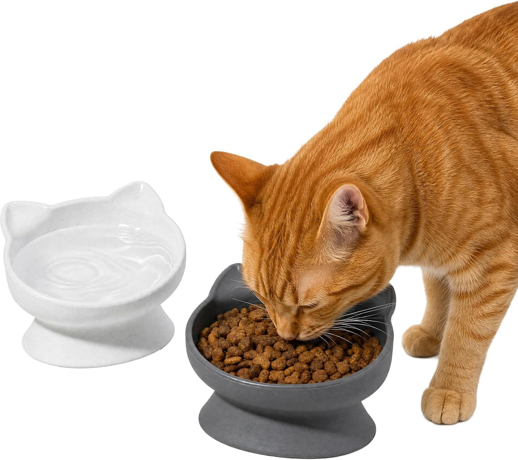 Elevated Cat Bowls (Set of 2), Whisker-Friendly Raised Cat Food & Water Dishes, Modern Pedestal Design, Dishwasher