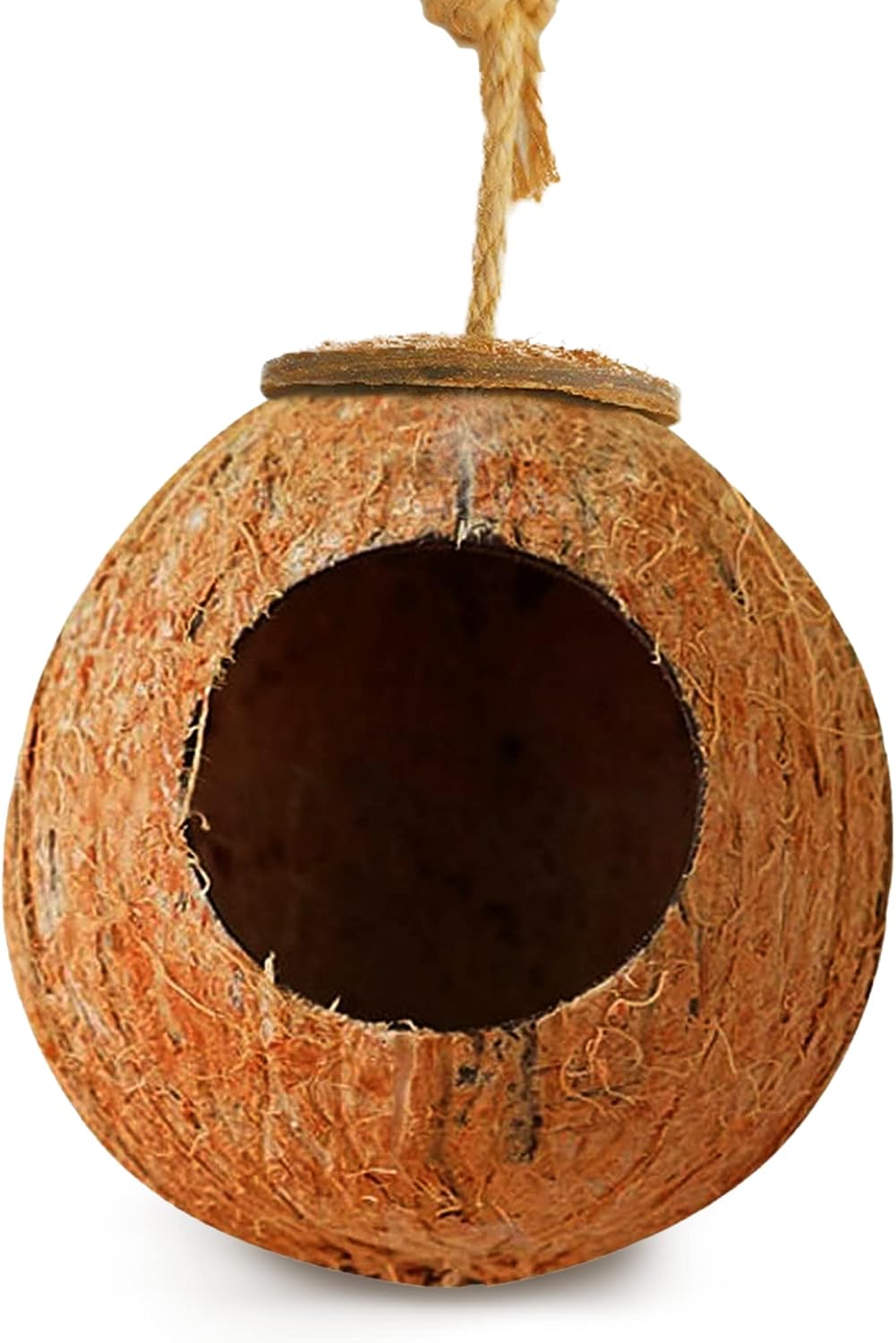 Leopard Gecko Coco Hut, Gecko Climbing Accessories, Raw Coconut Shell Reptile Hide, Terrarium Habitat Décor, 2.5”