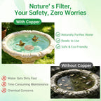2 Pack Copper Disc for Bird Bath, 4 Inch Round Purification Disk