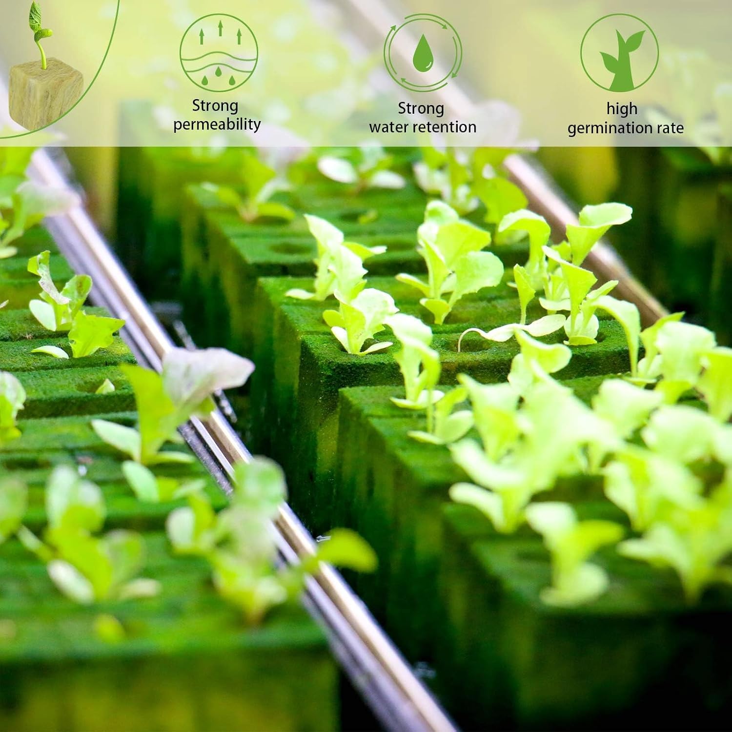 1 Inch Rockwool Cubes for Hydroponics, 200 Plugs Seed Starter Cube | High Germination Rate for Vegetables & Herbs