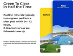 Pool Unit #101066 6 Month Algaecide Treats 20k-30k gallons, Black