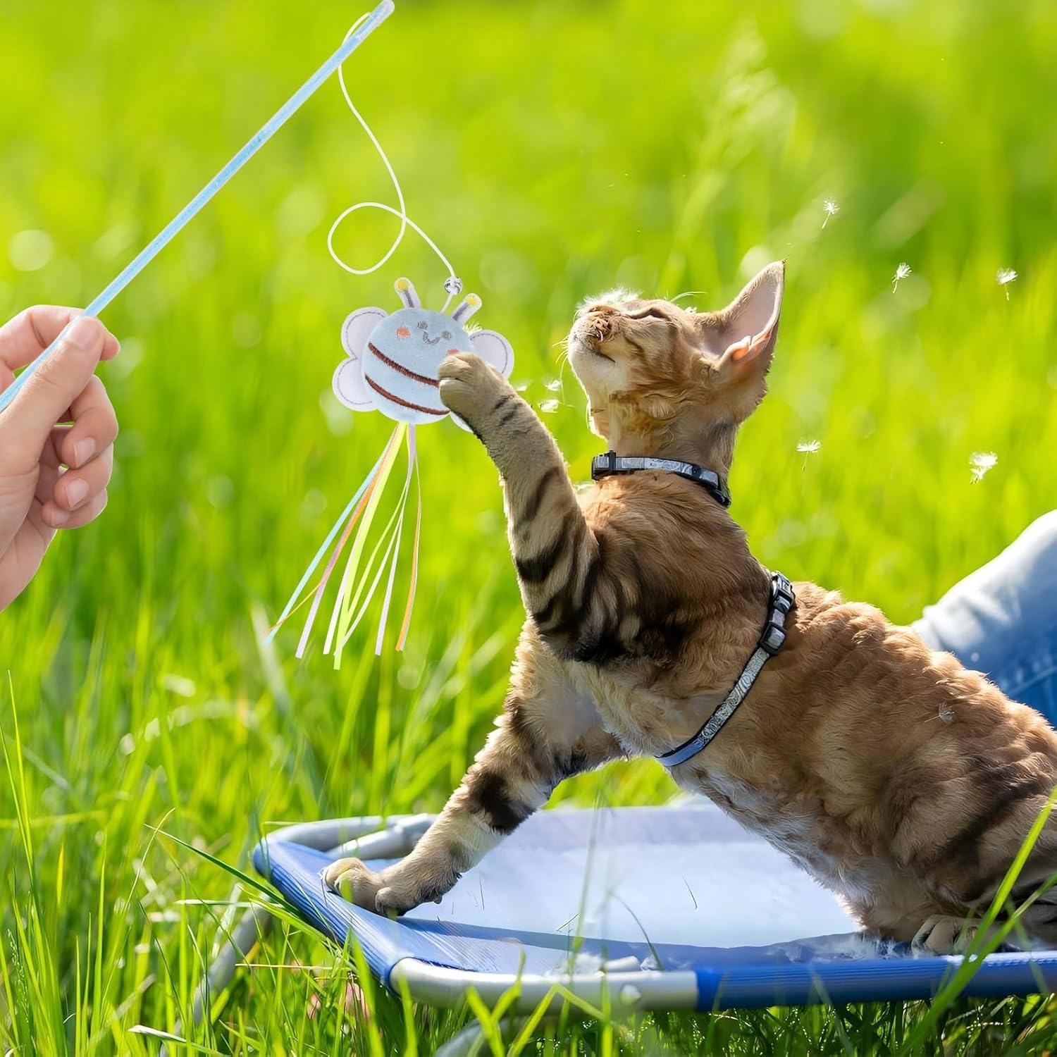 Cat Wand Toy Set, 2 PCS Interactive Cat Teaser Wands with Cute Bee & Mouse Designs, Equipped with Bells and Streamers