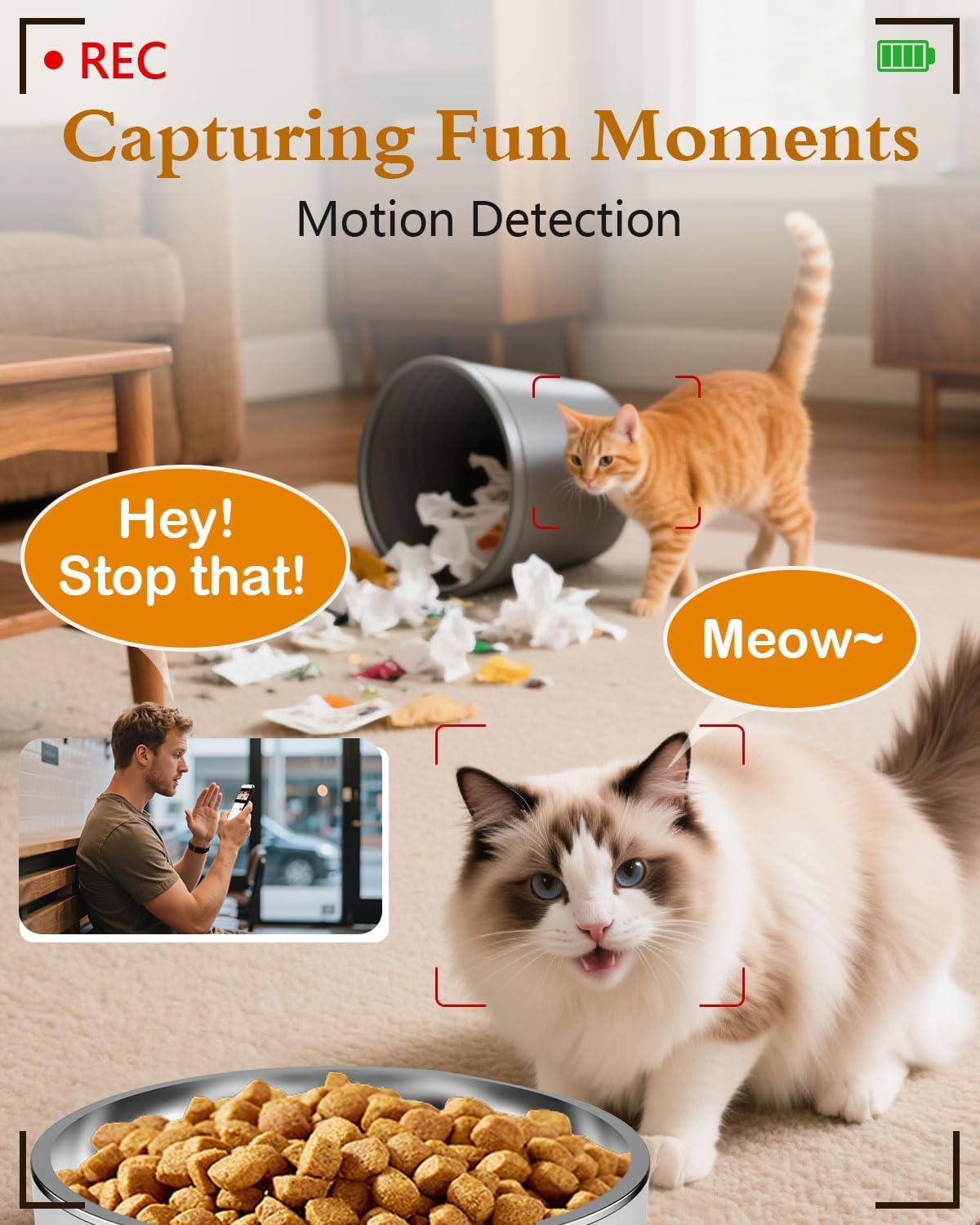 Automatic Cat Feeder with Camera - HD 1080P Video with Night Vision