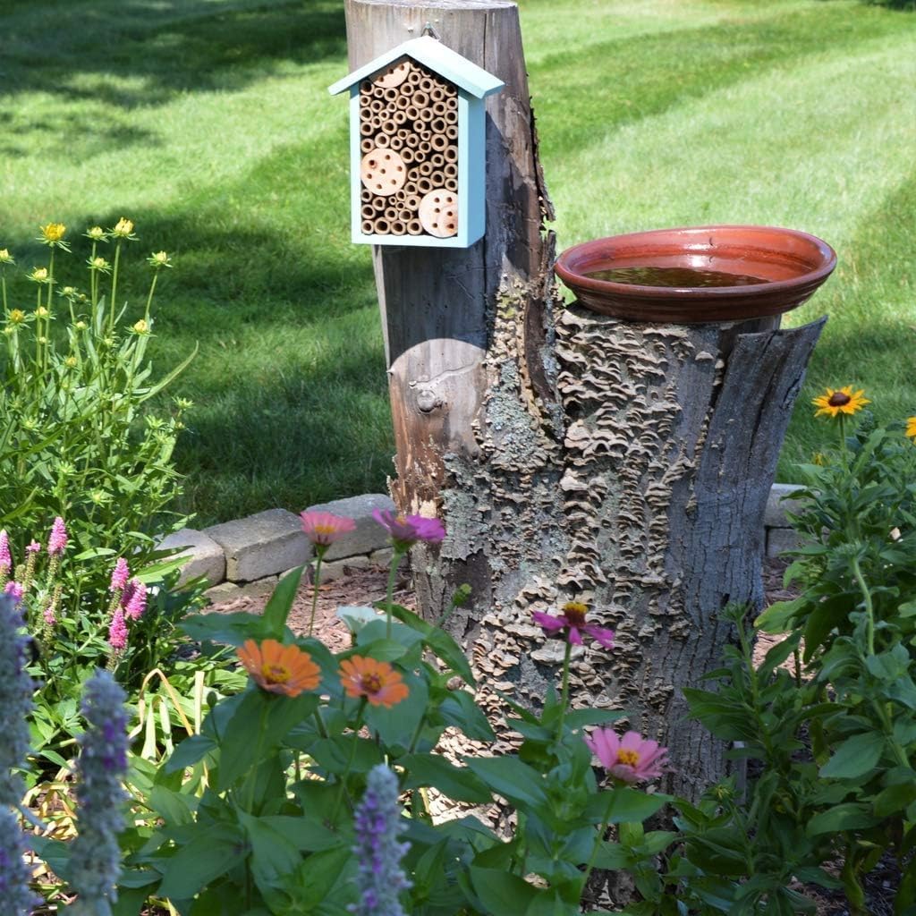 Bird Products PWH1-C Teal Bee House