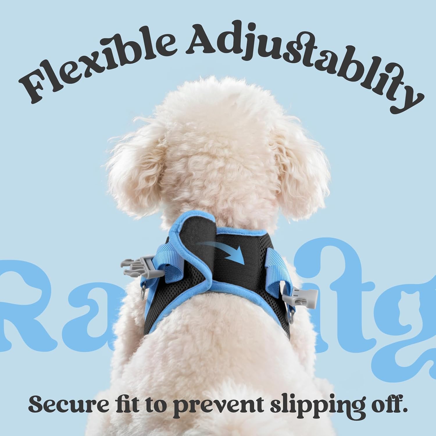 Dog Harness Small Sized and Leash Set, Step-in Breathable Pet Harness, Soft Walking Reflective Puppy Vest for Small