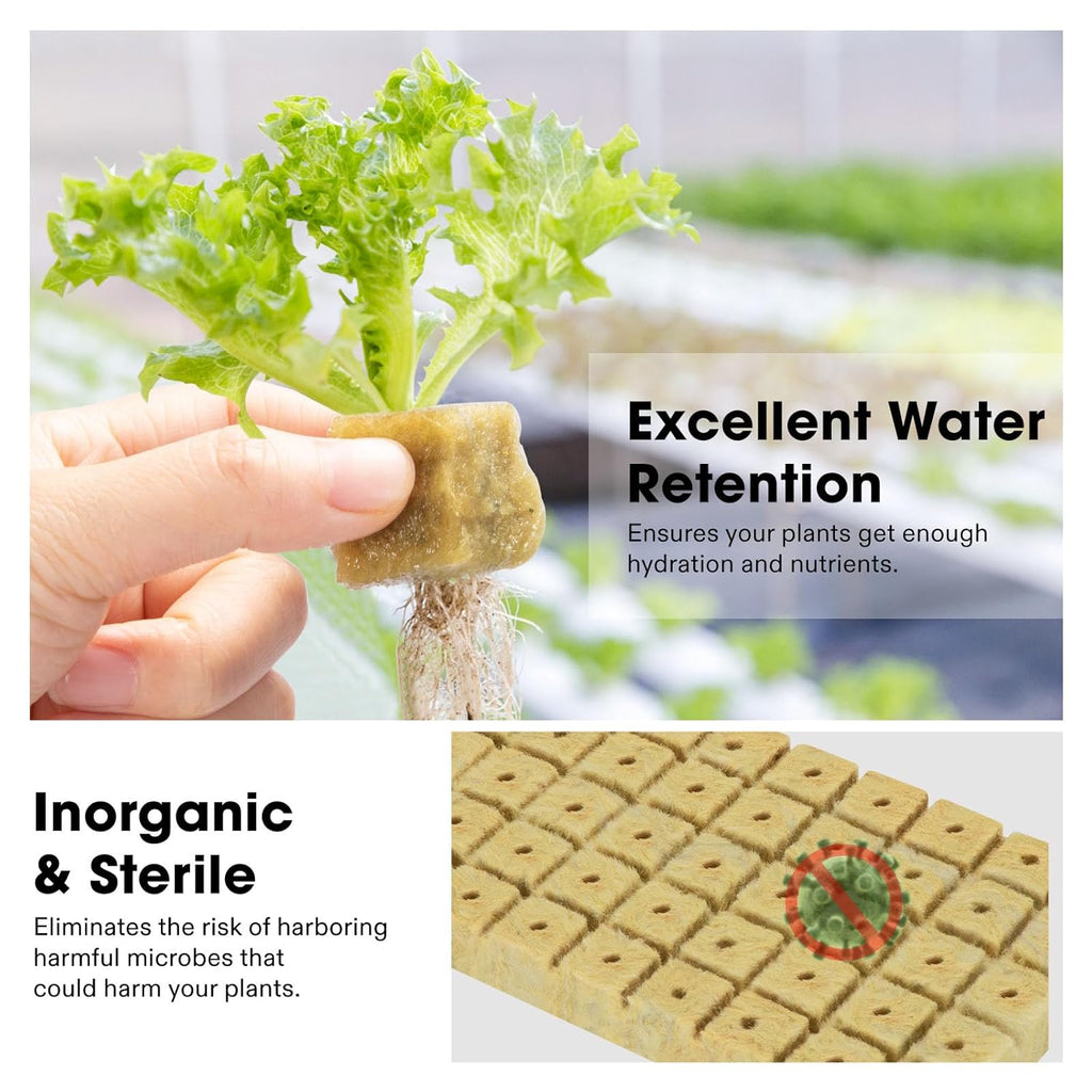 1" Rockwool Cubes, 100 Plugs Grow Cubes