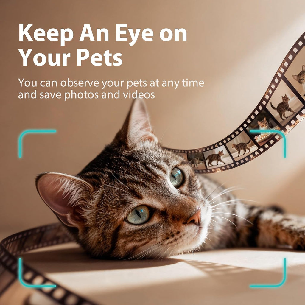 Automatic Cat Feeder with Camera - AI Pet Recognition & Recording, Night Vision, 5G WiFi APP Remote Control, Two-Way