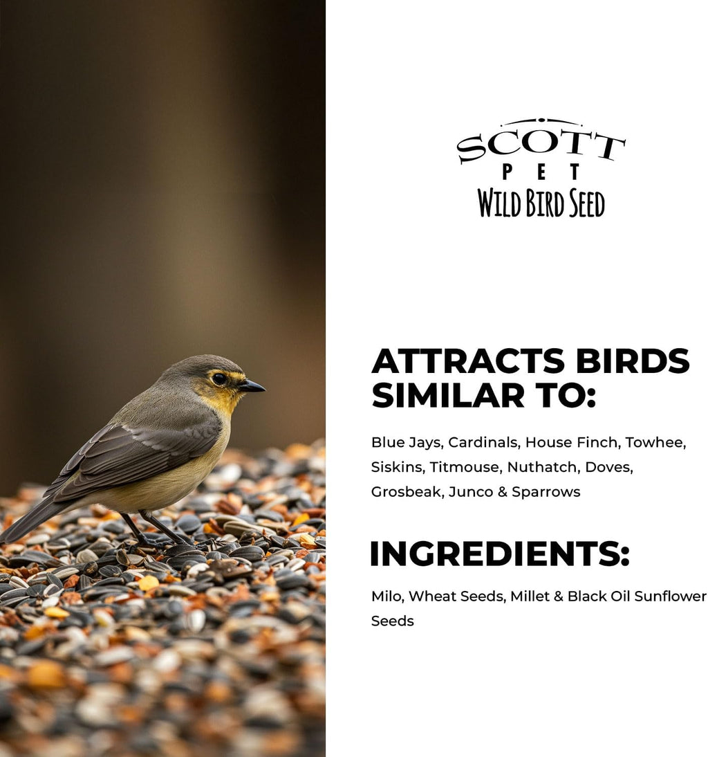 Wild Bird Seed, Deluxe Blend, 11lb, High Protein & Fiber | No dust. Attracts Juncos, Jays, Finches, Grosbeaks