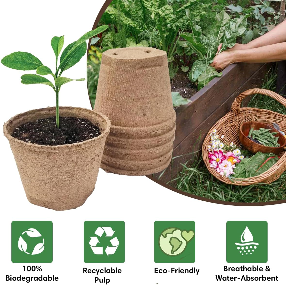 Seedling Starter Kit Germination Grow Cups and Soil (10 Pack) Biodegradable Peat Pots, Coco Coir Soil Discs, Plant