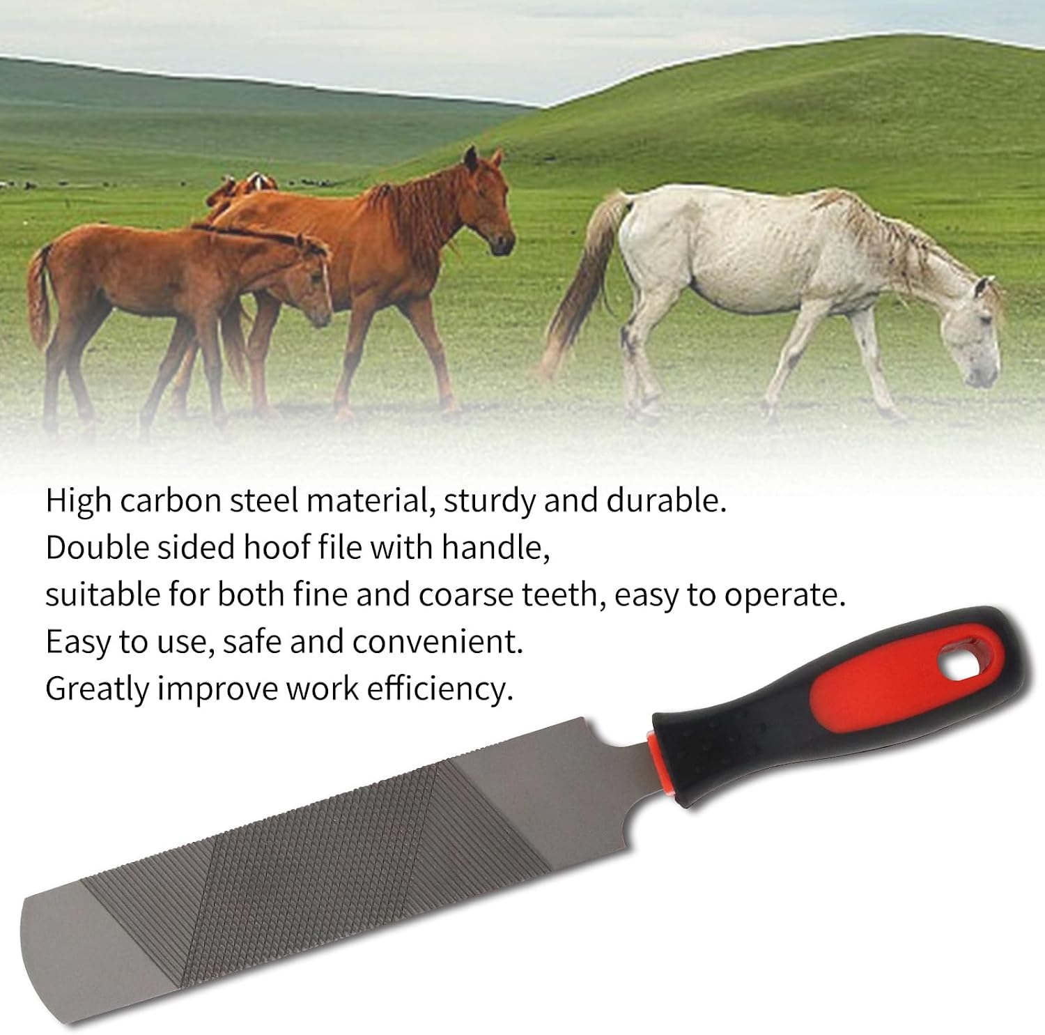 12 Inch Hoof Rasp & Farrier File with Ergonomic Non-Slip Rubber Handle