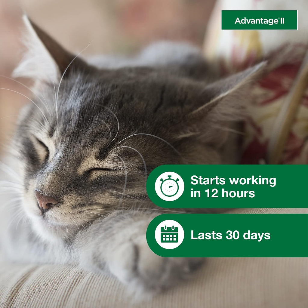 II Small Cat Topical Flea Treatment & Prevention, 2ct