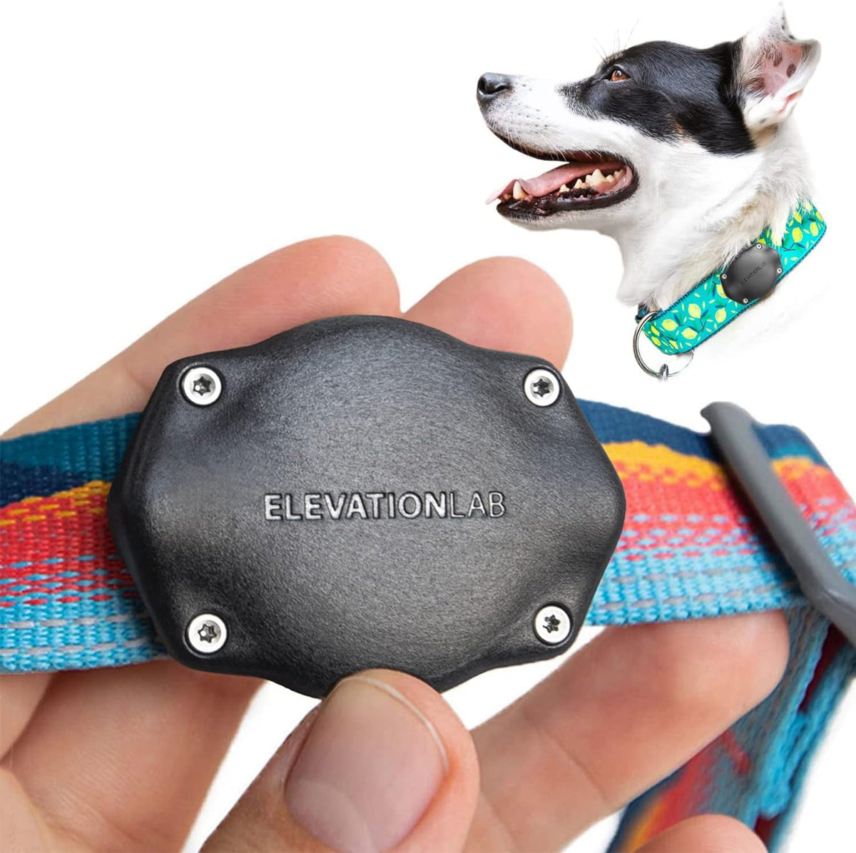 AirTag Dog Collar Holder - Waterproof
