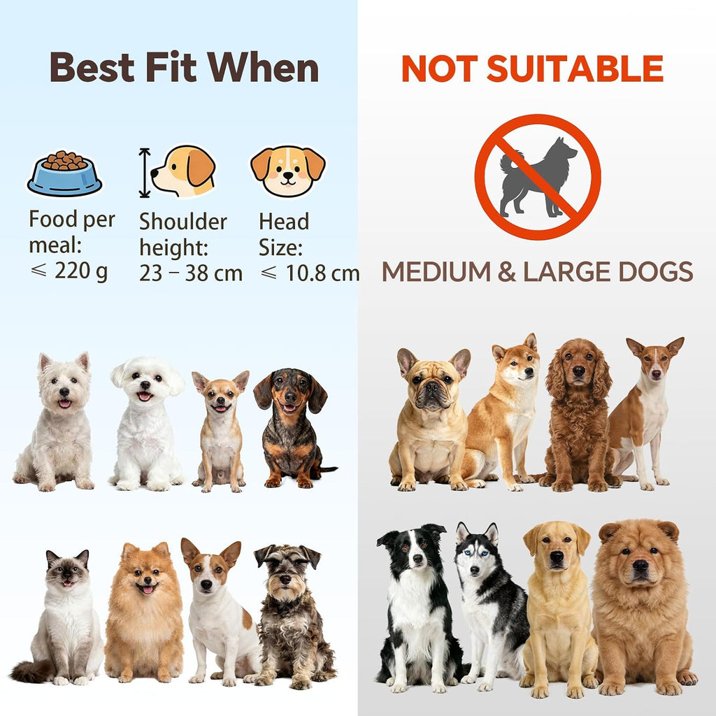 Small Glass Tilted Elevated Cat Dog Bowl Raised Cat Food Water Bowl Dish Pet Comfort Feeding Bowls with Gold Iron Stand