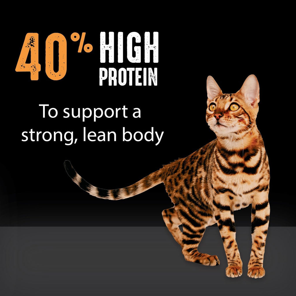 Grain Free High Protein Natural Adult Dry Cat Food, Chicken, 10 lb