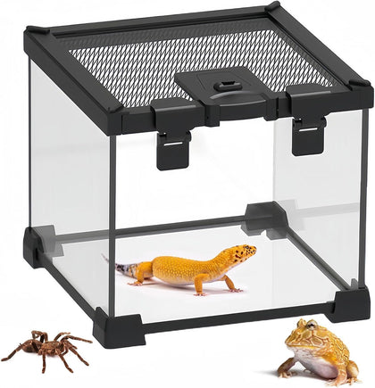 Mini Reptile Glass Terrarium Tank,8"x8"x6" Small Reptile Enclosure Cage | Full View Geckos Enclosure Tank Habitat