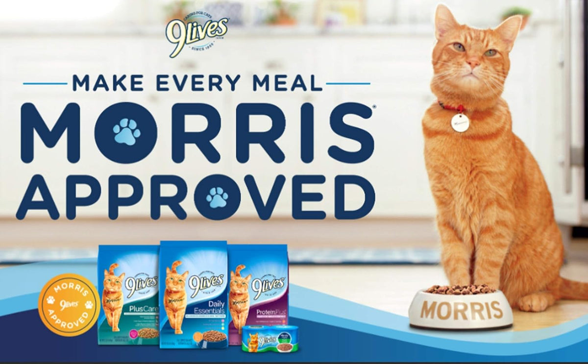 Paté Favorites Wet Cat Food Variety Pack, 5.5 oz. Cans (Pack of 12)
