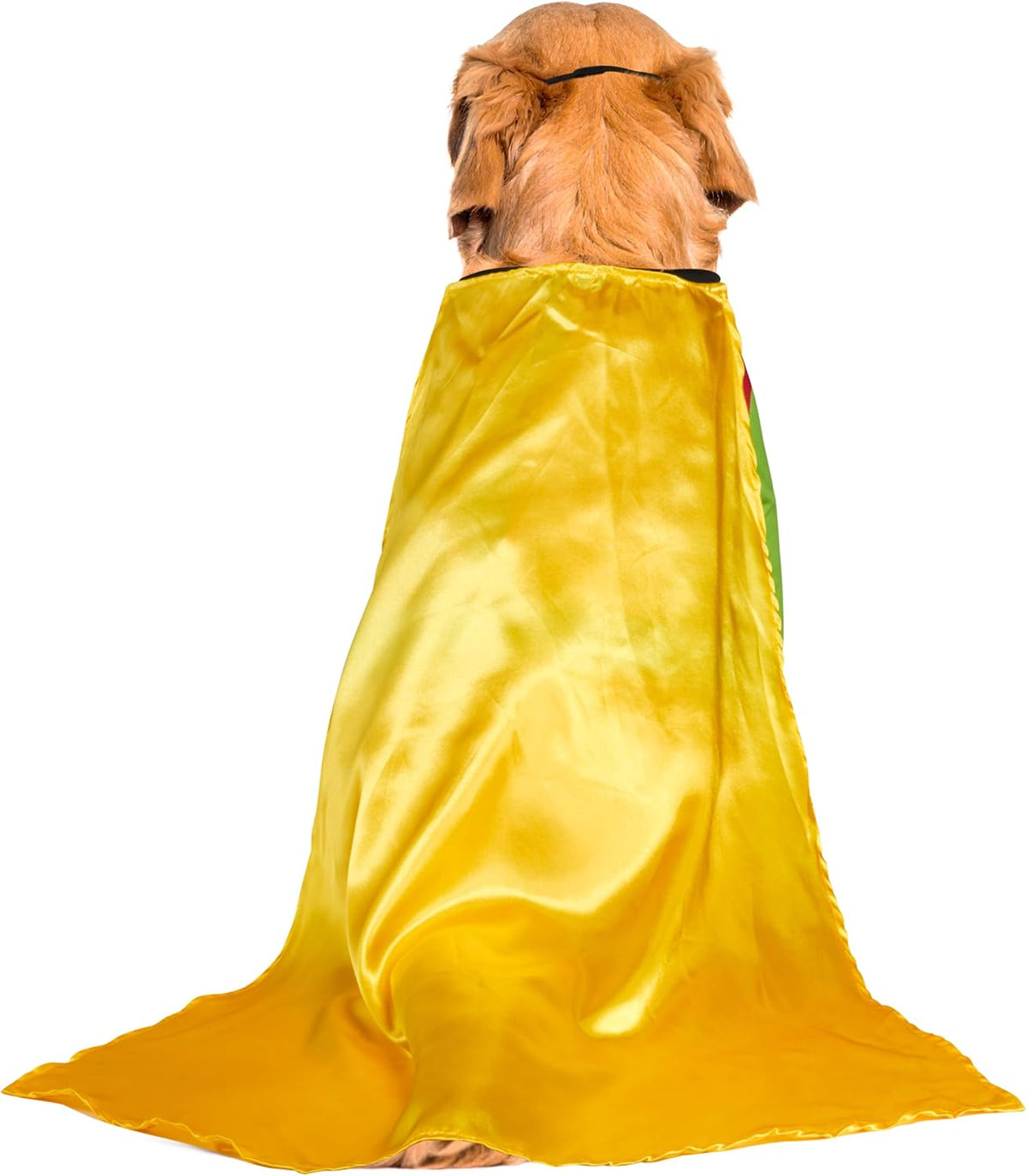 Teen Titans: Robin Pet Costume for Dogs or Cats, 3X