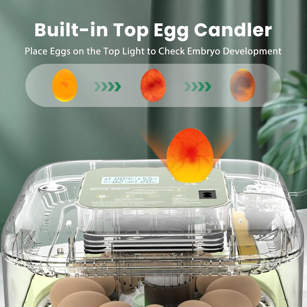 12 Egg Incubator with Humidity Display & Built-in Candler, Automatic Turner, Temp & Humidity Control, Auto Water