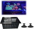 Floating Coral Basket for Reef Tanks (4x6 inch), Anemone and Frag Isolator Cup Mount, Saltwater Aquarium Safe