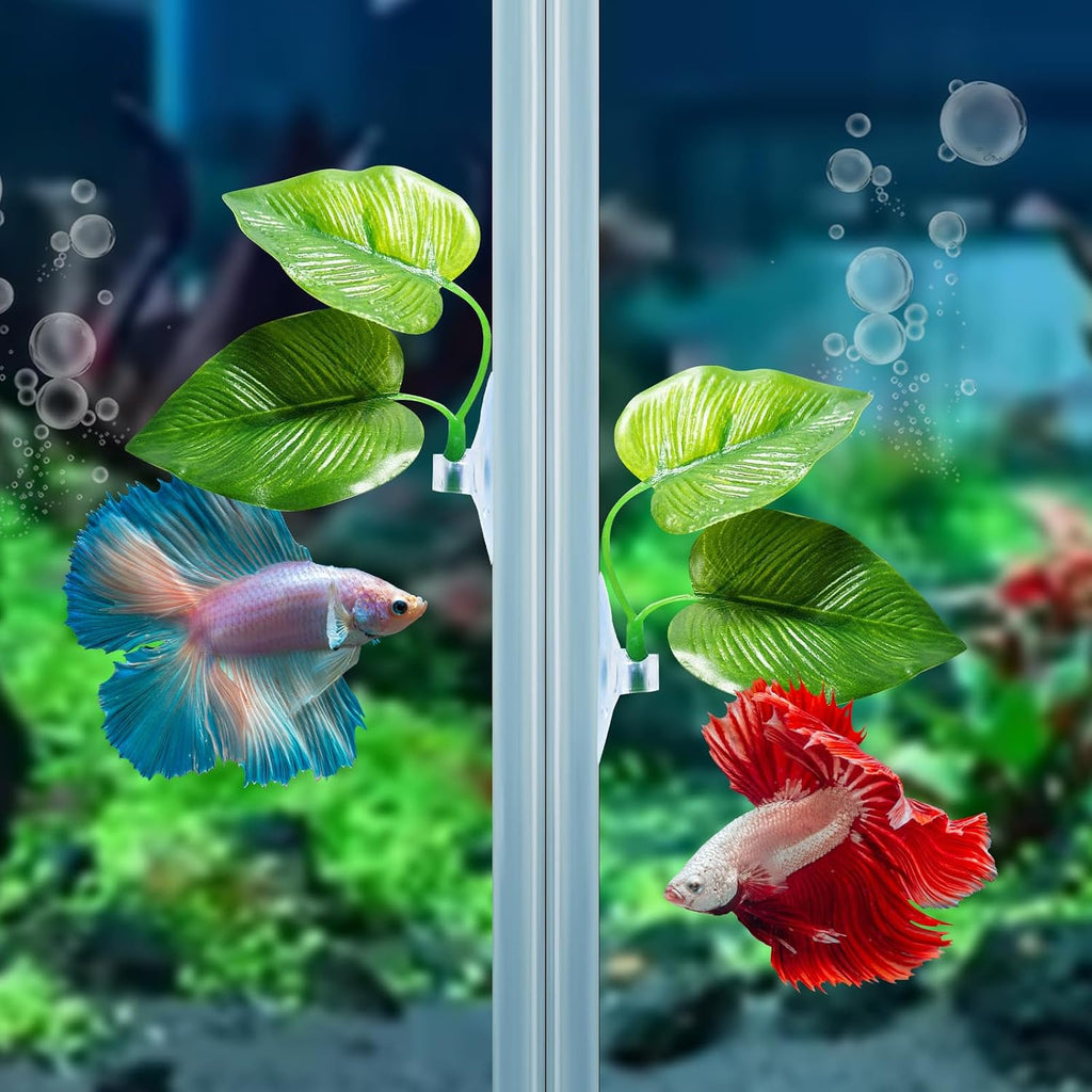 2 Pack Betta Fish Leaf Pad Improves Betta's Health by Simulating the Natural Habitat - Natural, Organic, Comfortable