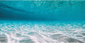 48x24 in Undersea Vinyl Aquarium Backdrop Ocean Floor Fish Tank Background