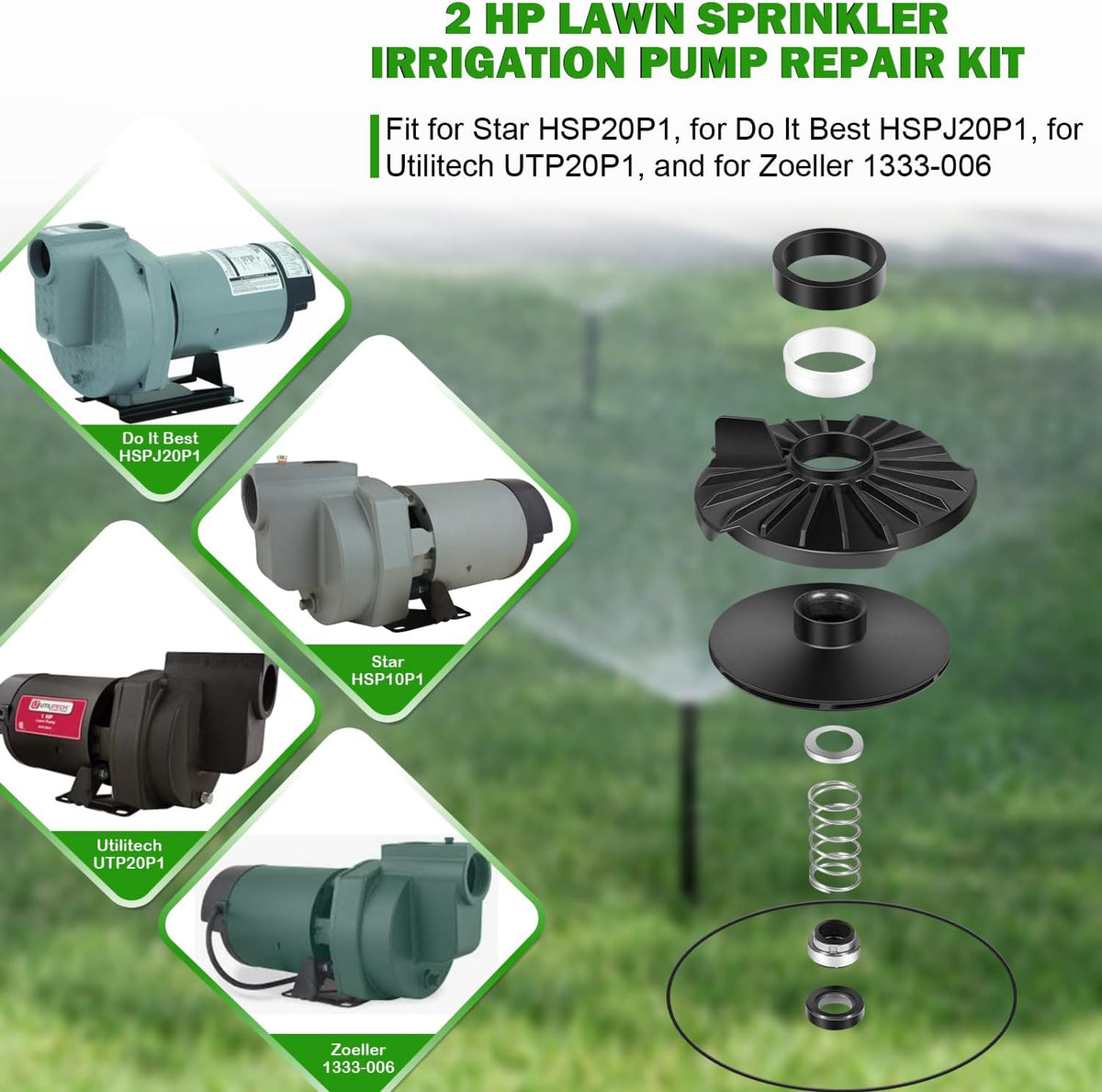 023705 2 HP Water Systems Repair Kit for HSP20P1 Pumps