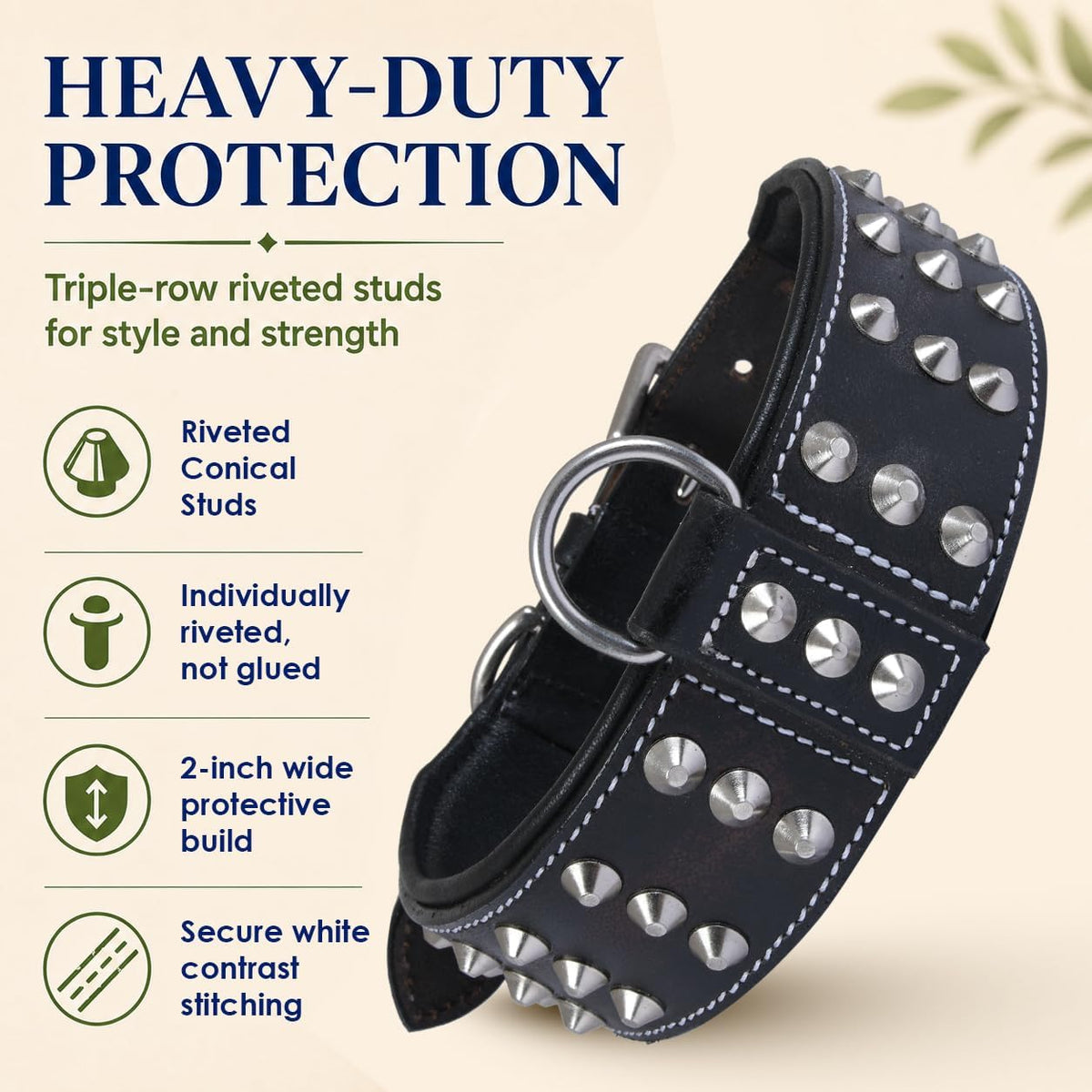 Genuine Leather Studded Dog Collar for Medium Dog, Cushion Padding, Black