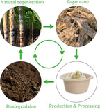 200 Pack 2 oz Natural Bagasse Fiber Cups with Lids, 2.3'' x 1.1''(H) x 1.6'' Paper Tasting Cups Disposable Sample