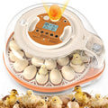 Incubators for Hatching Eggs with Smart Voice Assistant, 26 Eggs Incubator with Automatic Egg Turner and Humidity