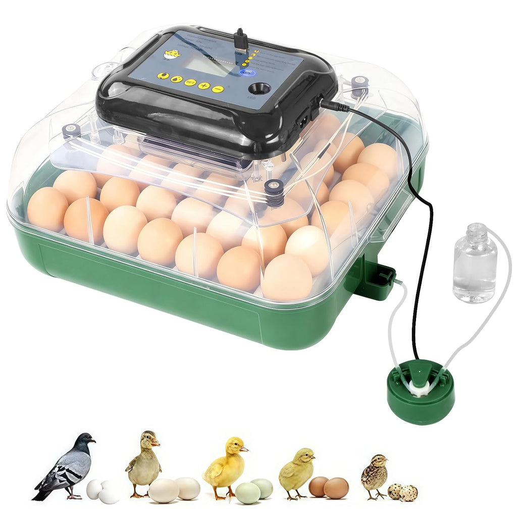 24 Egg Incubator for Hatching Eggs, 360° View Poultry Incubator, Automatic Egg Turning, Temperature & Humidity
