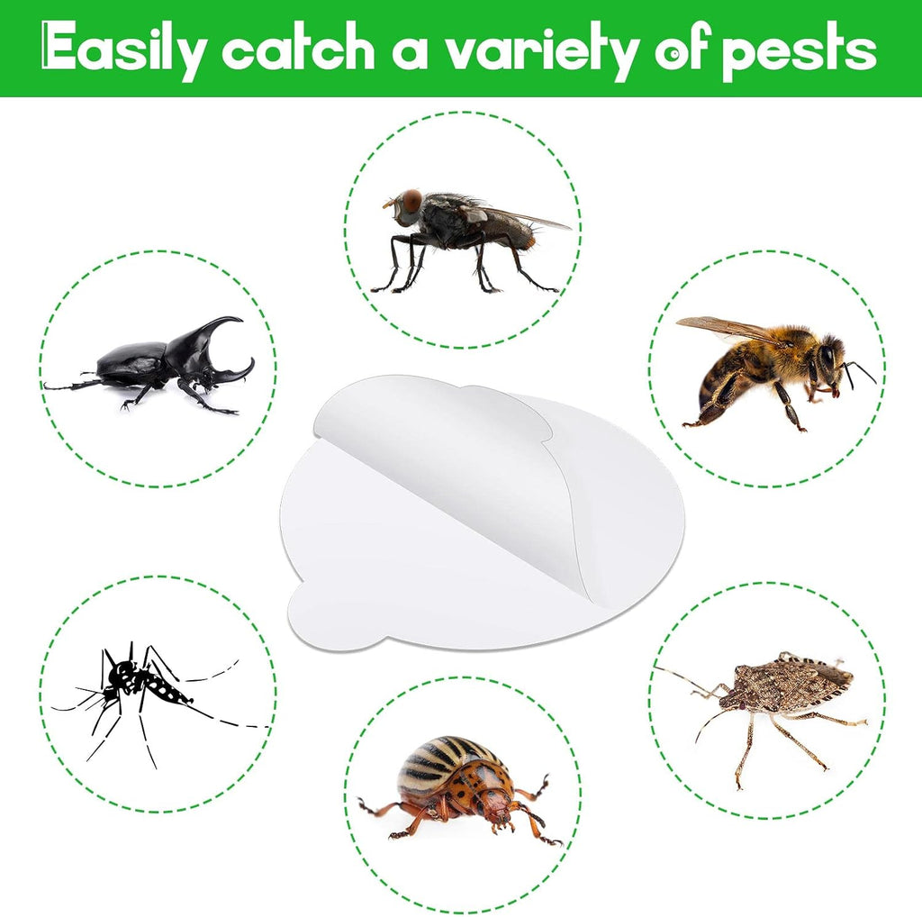 Round Insect Trap Refillable Glue Boards Sticky | Fruit Fly Trap Mosquito Fly Killer for Mosquitoes Fruit Flies Gnats