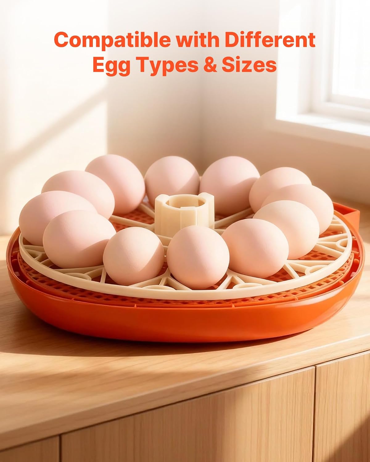 12 Egg Incubator, Automatic Egg Turner with LED Candler, Temperature & Humidity Control, 360° View Clear Window