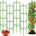 66Inch Tall Tomato Cage for Garden, 4Pack Plant Support Heavy-Duty Garden Stakes, Tomato Trellis for Potted Plants