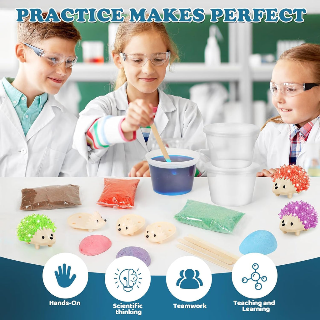 Crystal Growing Kit for Kids - 4 Colors Hedgehog to Grow Fast in (24H),Science Experiments Learning & Educational