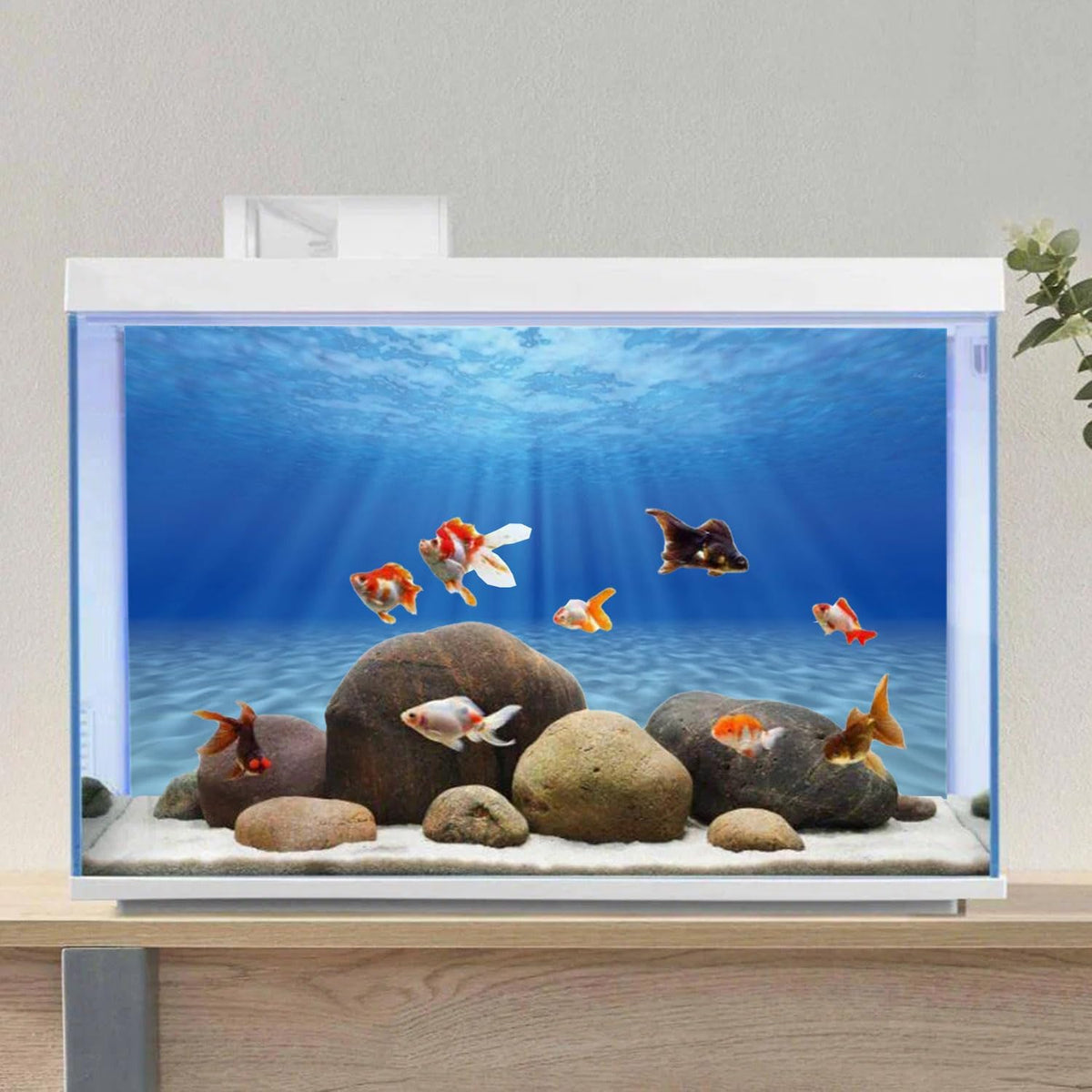 Undersea Aquarium Backdrop Sunshine Fish Tank Background 24x12 inches
