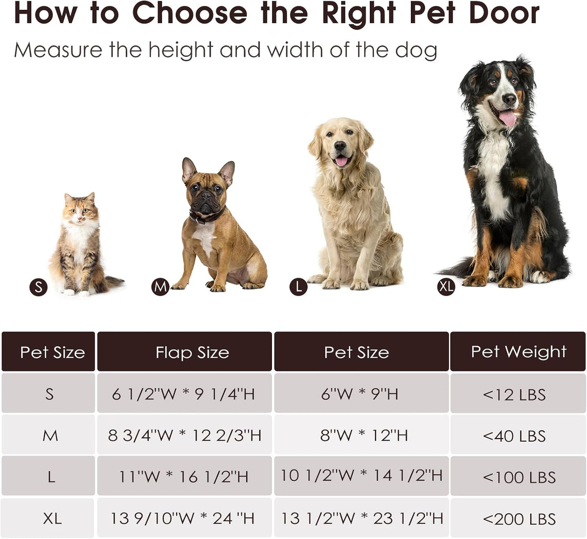 Cat Door for Wall,Steel Frame,Interior and Exterior Wall,Small