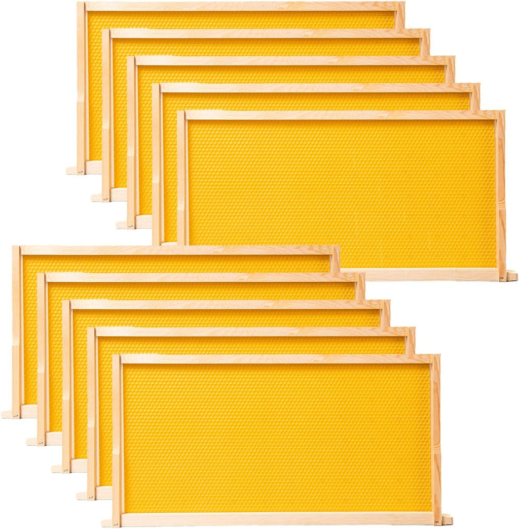 10 Pack Beehive Frames with Wax Dipped Plastic Foundations, Deep Brood Box Bee Frames 9-1/8 Inch for Beekeeping (Yellow)