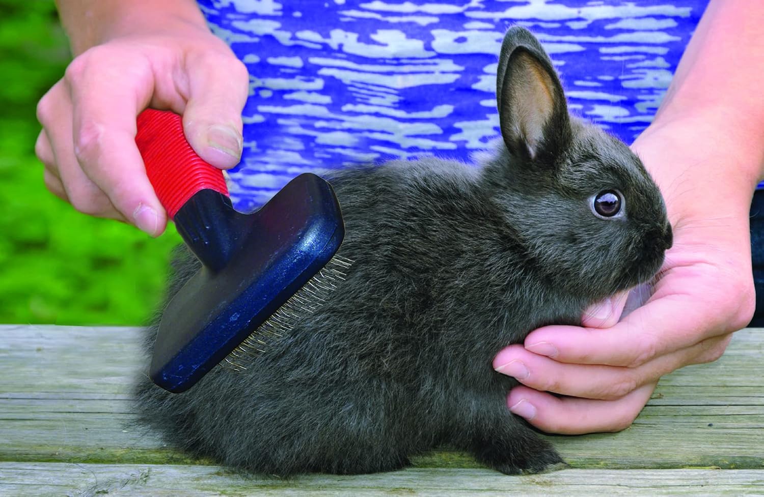 Grooming Kits For Rabbits, Guinea Pigs and other Small Animals (Red, 4 Piece Kit)