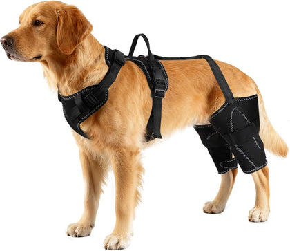 Dog Hip & Leg Support Harness for Mobility Assistance, Adjustable Rear Leg Brace with Lift Handle for Injured or