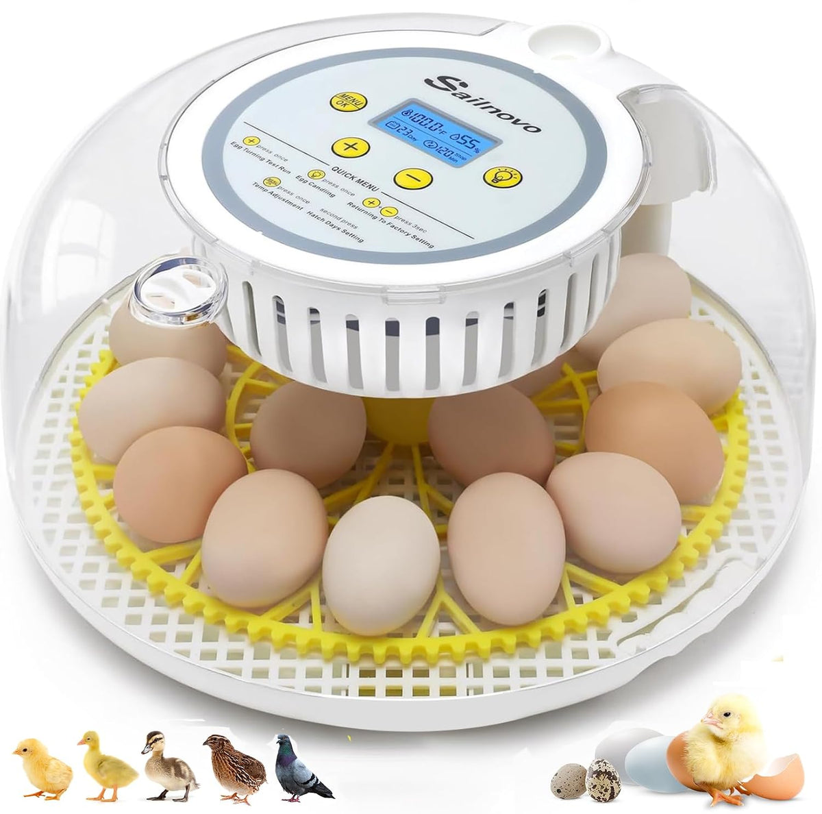 18 Egg Incubator for Hatching Eggs with Automatic Egg Turning