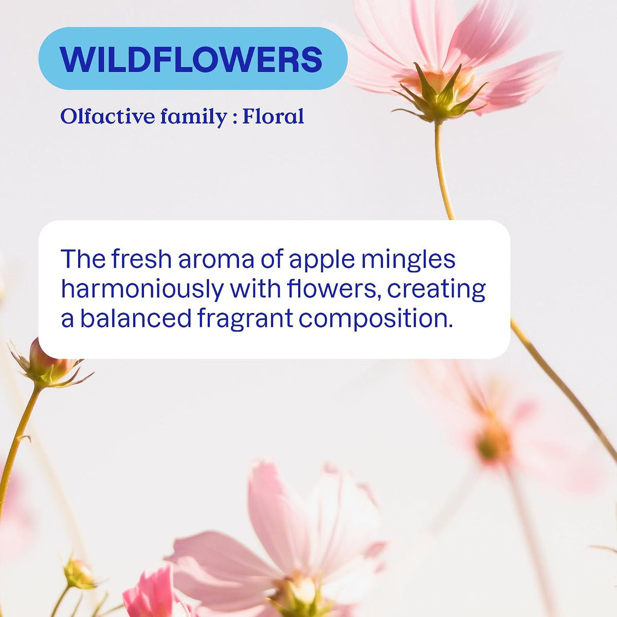 ATTITUDE Liquid Fabric Softener, Plant Based, Wildflowers, 80 Loads