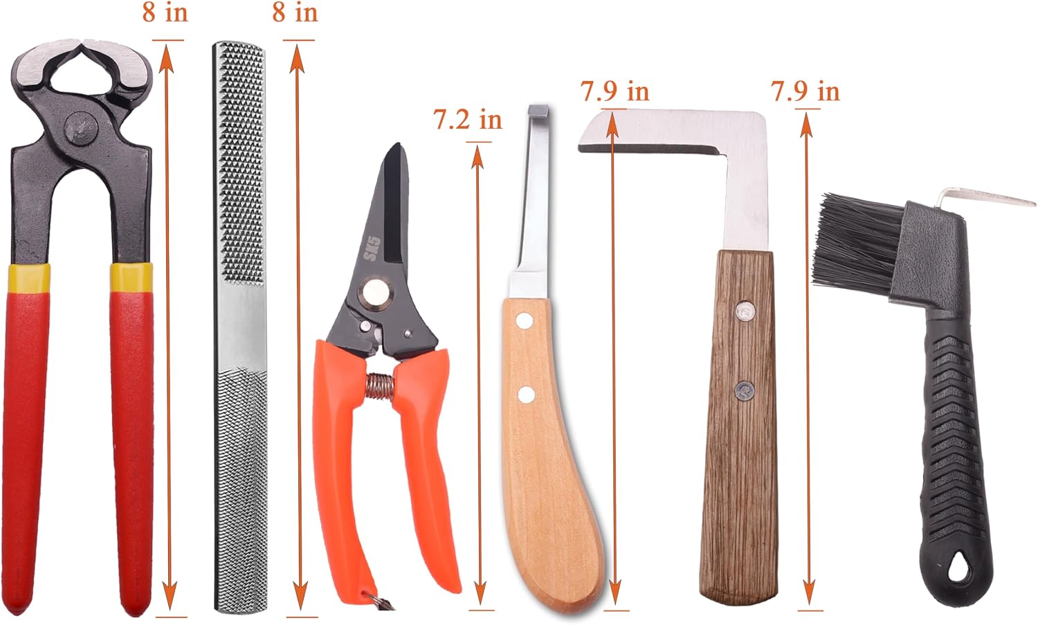 8 inch Farrier Tool Kits （9 Pcs） Mini Rasp Hoof File Goat Pig Equine