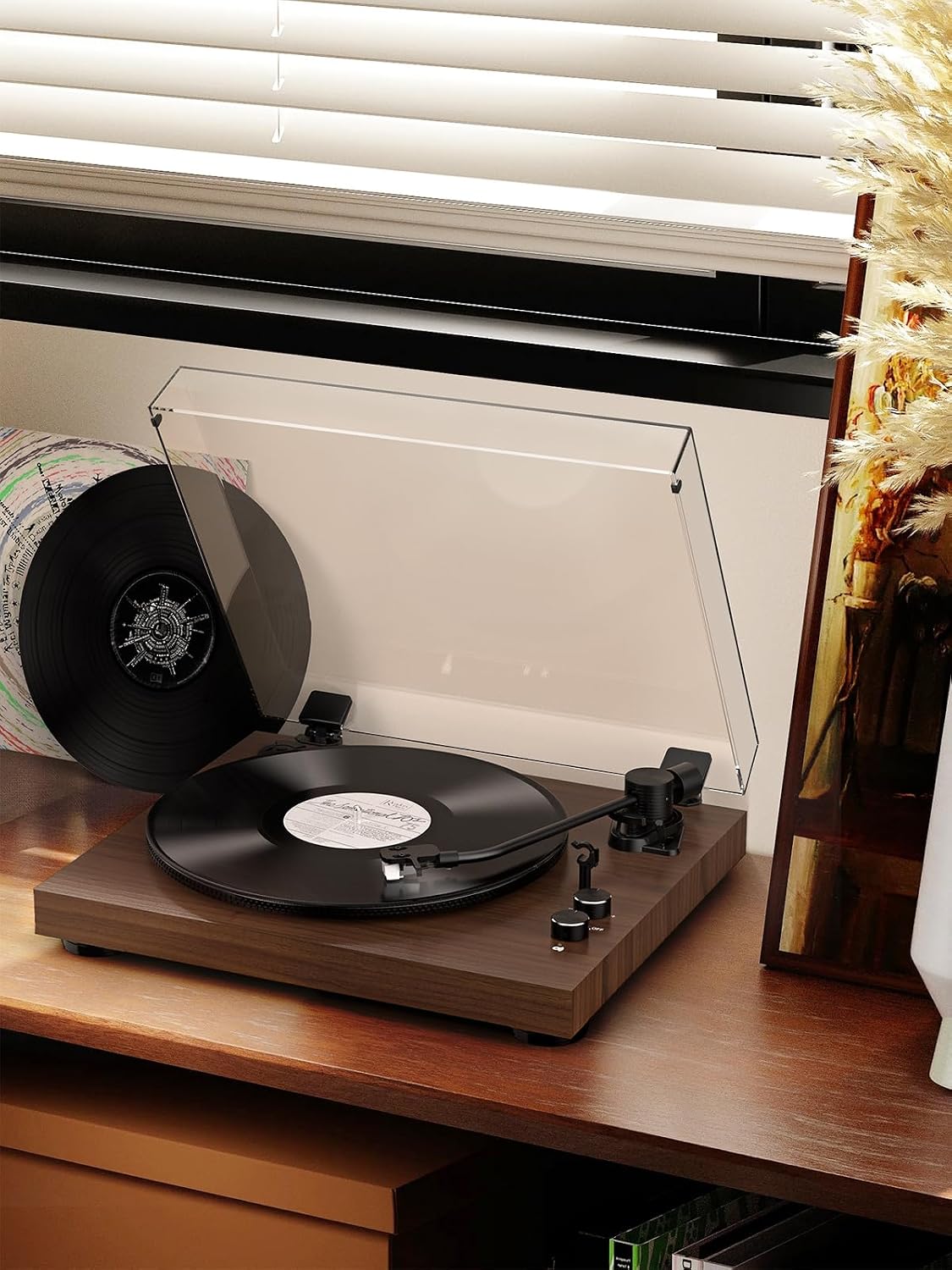 Vinyl Record Player Belt Drive 2-Speed Playback Turntable Bluetooth Wireless Output Connectivity Record Player with