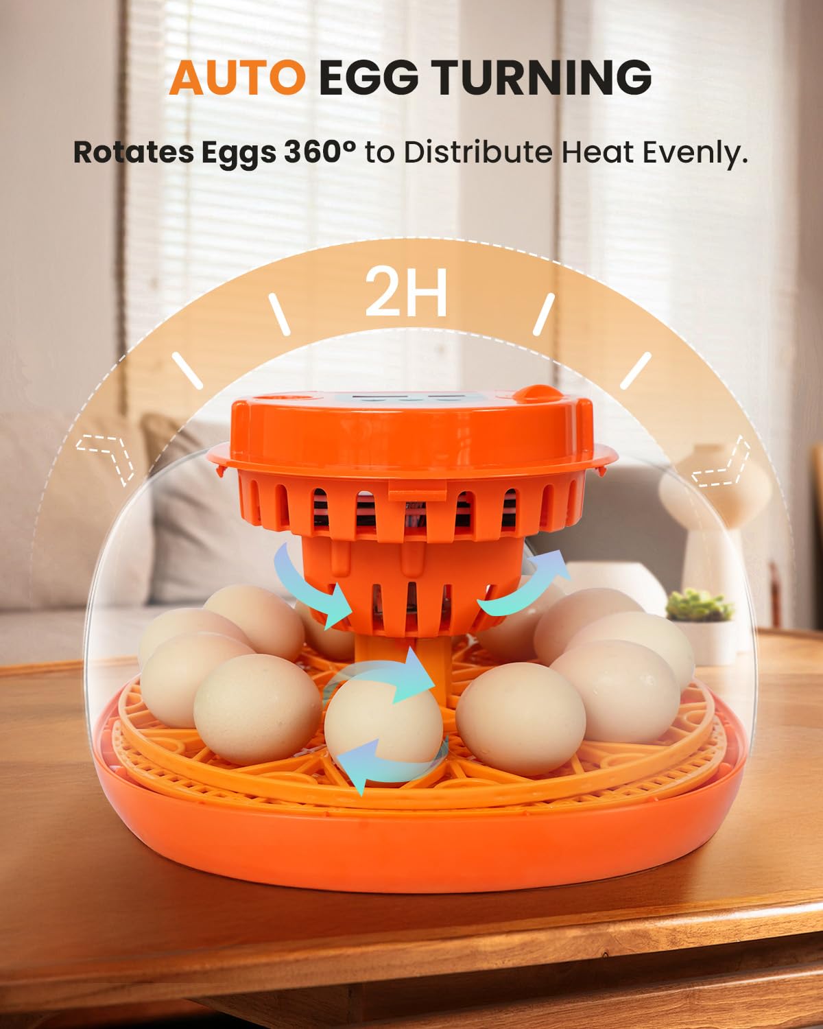 12 Egg Incubator with Automatic Turning & Humidity Control, Fully Automatic Incubators with Egg Candler, STEM/STEAM