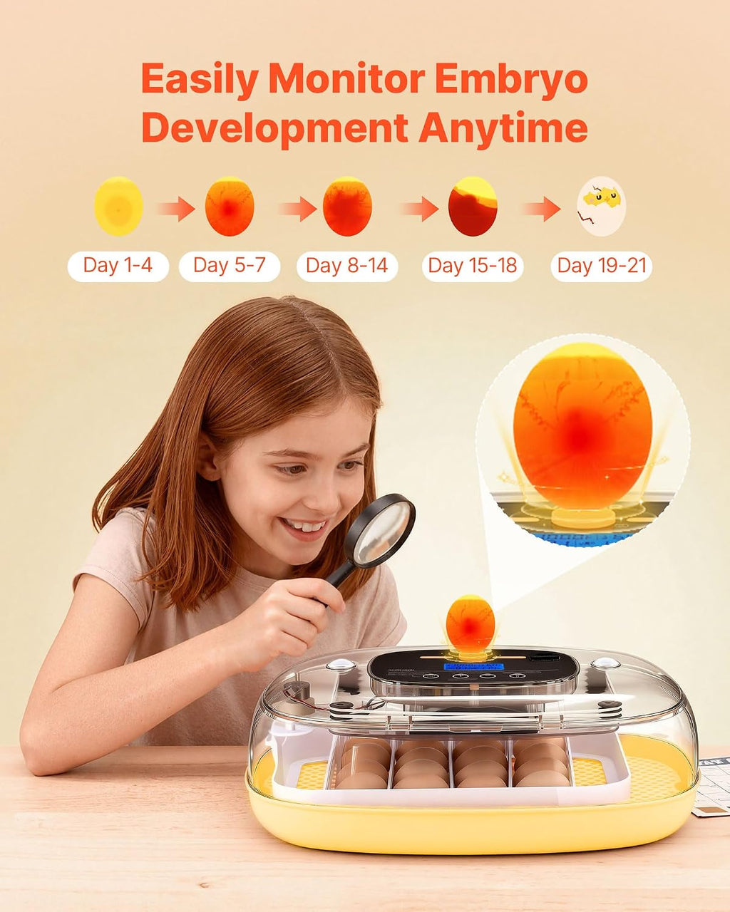 24 Egg Incubator, Automatic Egg Turner with LED Candler, Temperature & Humidity Control, 360° View Clear Window, Auto