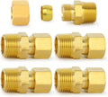 ChillWaves Brass Compression Tube Fitting, 3/8" OD x 1/2" NPT Male Compression Union Connector(5-PACK)