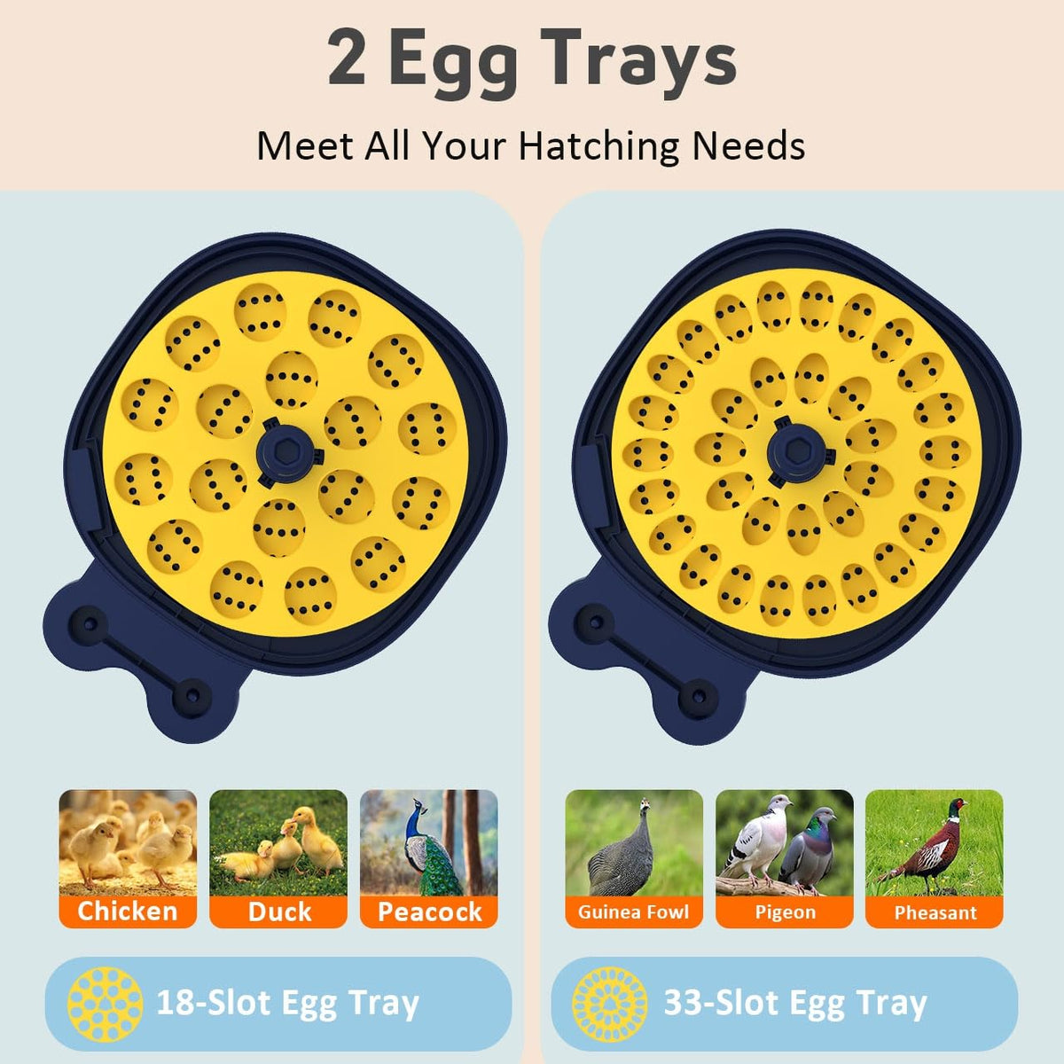 18-33 Egg Incubator for Hatching Eggs, Automatic Egg Turning, Egg Candler, Temperature/Humidity Control, Incubator